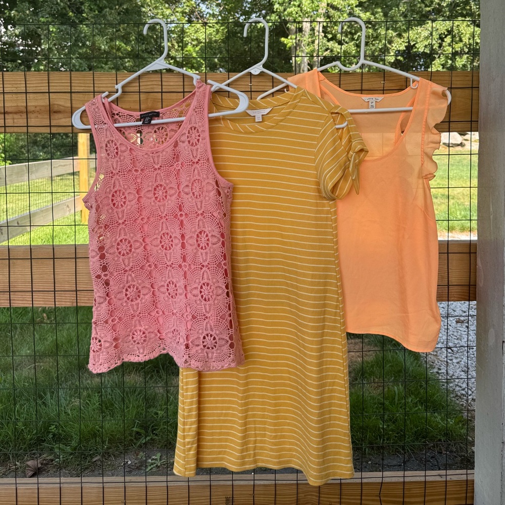 Summer Bundle!
